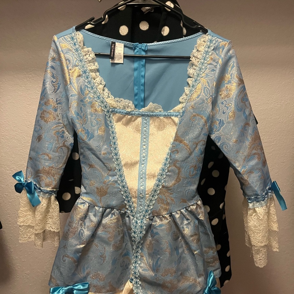 Leg Avenue Blue and Gold Lace Costume